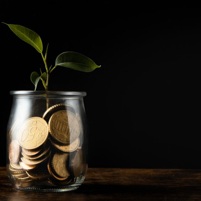 Front view plant growing from jar with coins copy space